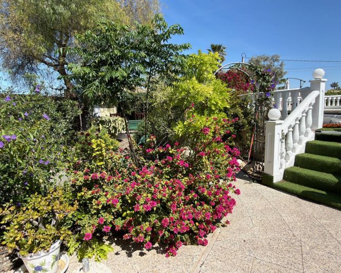 Image No.30-Propriété de 5 chambres à vendre à Catral