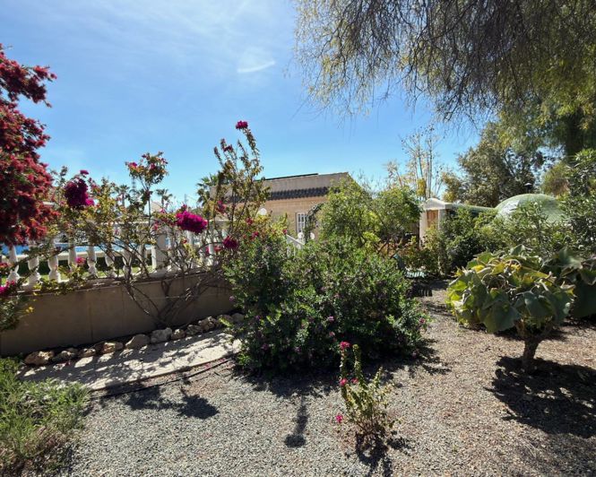 Image No.34-Propriété de 5 chambres à vendre à Catral