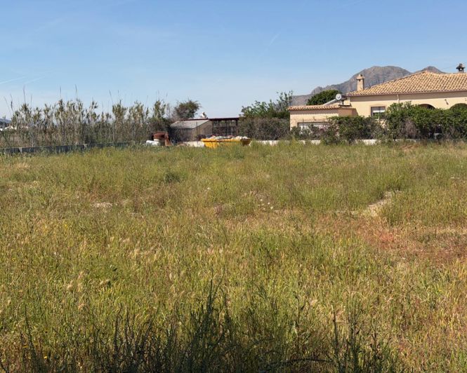 Image No.37-Propriété de 5 chambres à vendre à Catral