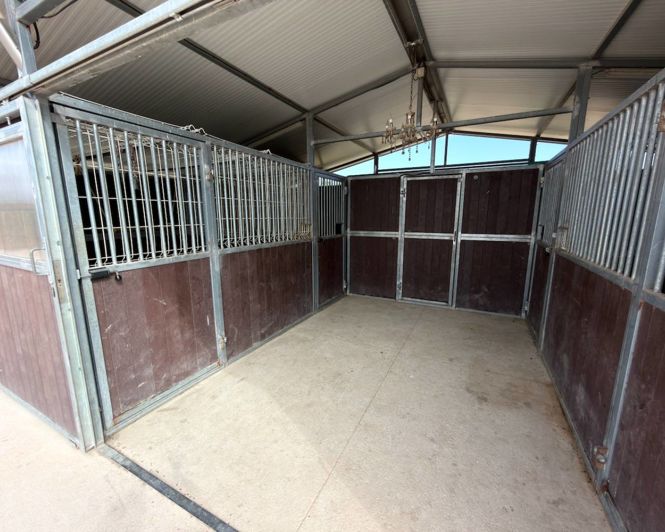 Image No.26-Propriété de 1 chambre à vendre à San Fulgencio
