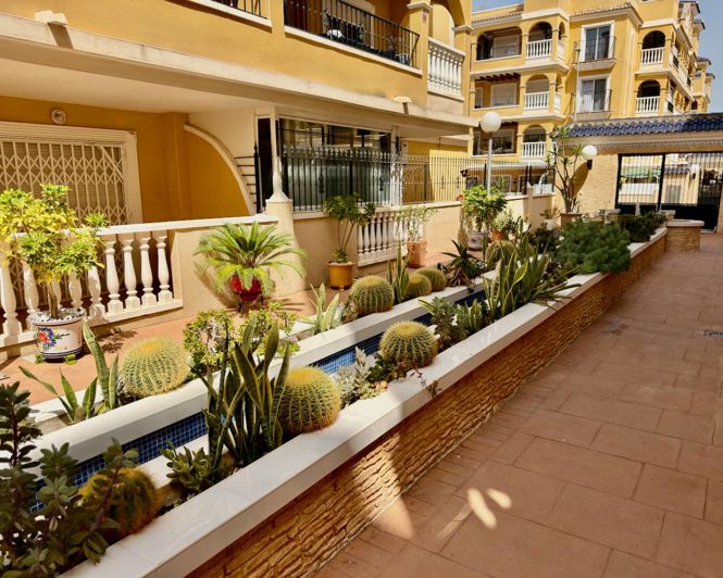 Image No.15-Appartement de 2 chambres à vendre à Algorfa