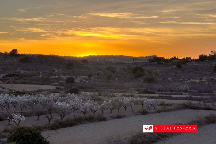 Image No.48-Appartement de 3 chambres à vendre à San Miguel de Salinas