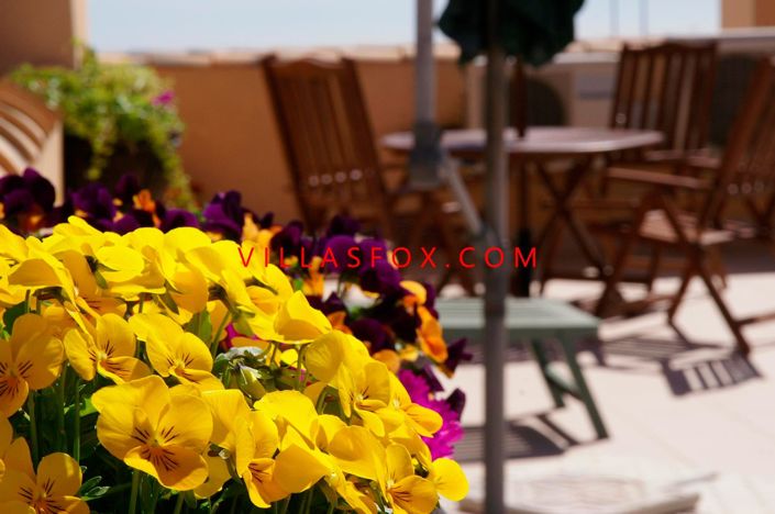 Image No.32-Appartement de 2 chambres à vendre à San Miguel de Salinas