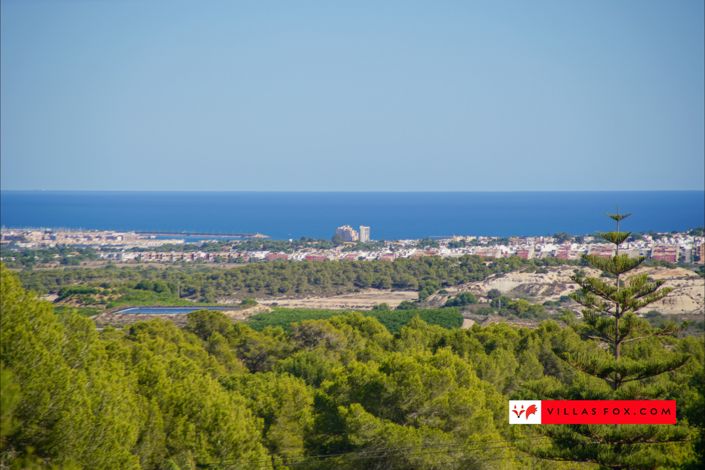 Image No.42-Villa de 6 chambres à vendre à San Miguel de Salinas