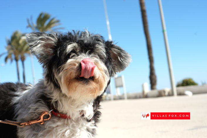 Image No.40-2 Bed Apartment for sale