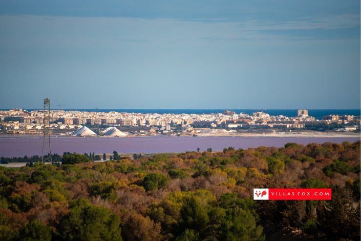 Image No.47-Maison de ville de 3 chambres à vendre à San Miguel de Salinas