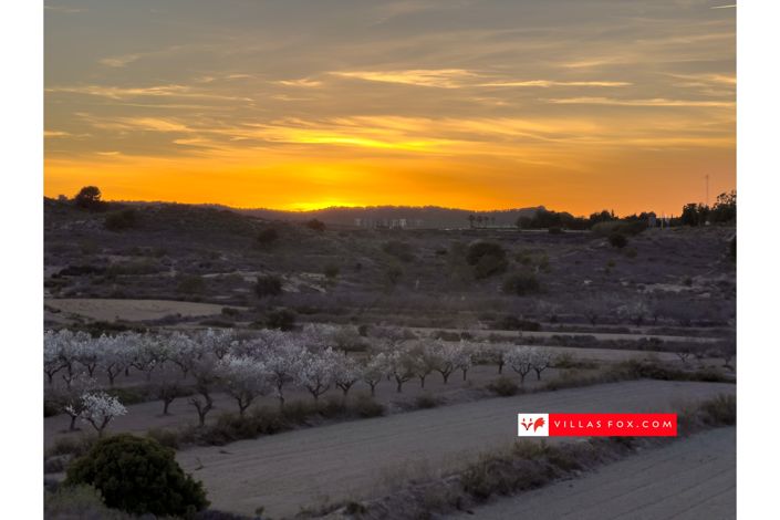 Image No.56-Maison de ville de 3 chambres à vendre à San Miguel de Salinas
