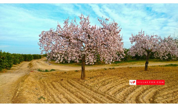 Image No.68-3 Bed Townhouse for sale