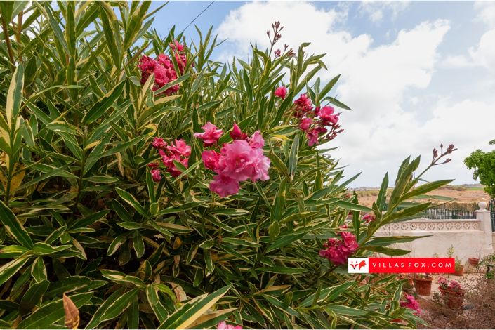 Image No.33-2 Bed Townhouse for sale