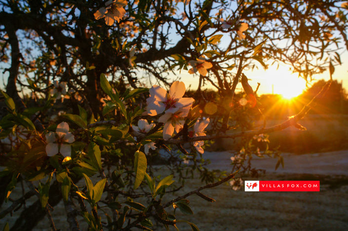 Image No.21-2 Bed Apartment for sale