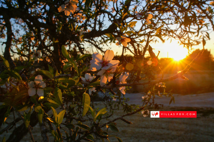 Image No.50-3 Bed Townhouse for sale