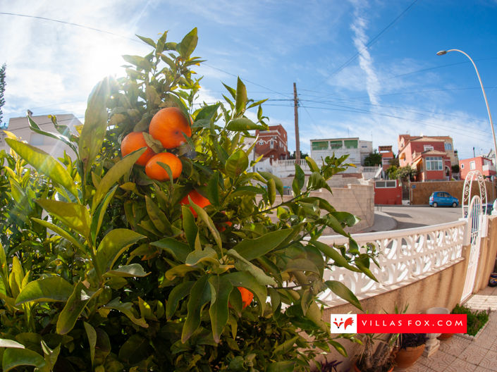 Image No.21-2 Bed Apartment for sale