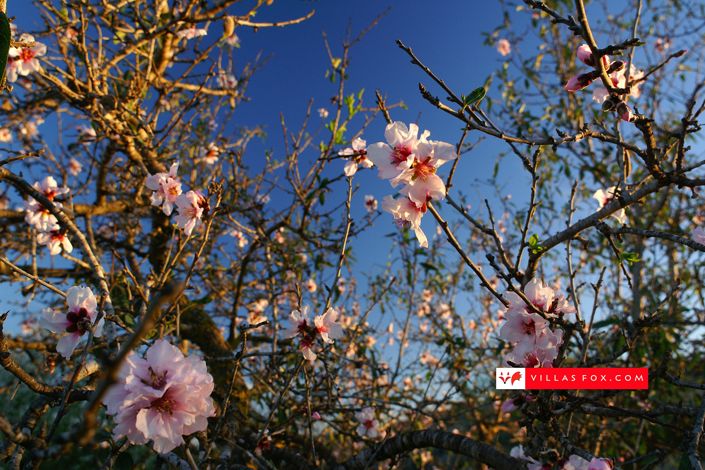 Image No.14-2 Bed Apartment for sale