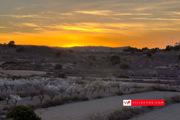 Image No.18-2 Bed Apartment for sale