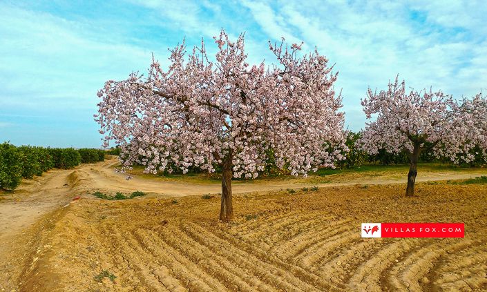 Image No.29-2 Bed Apartment for sale