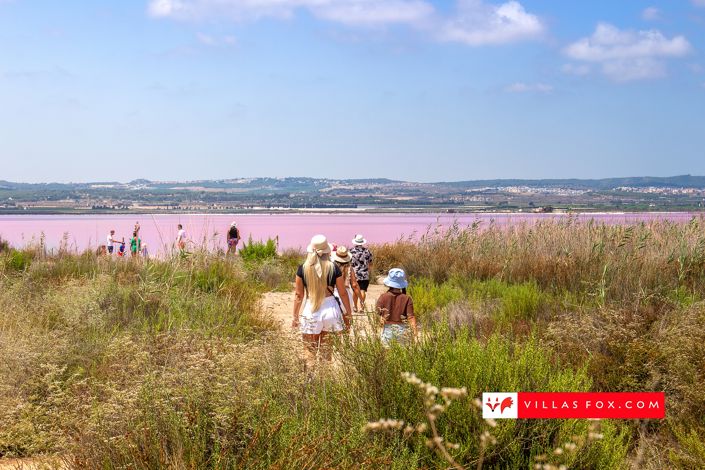 Image No.26-2 Bed Apartment for sale