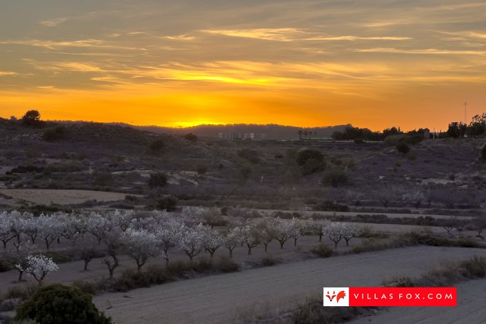 Image No.33-2 Bed Apartment for sale