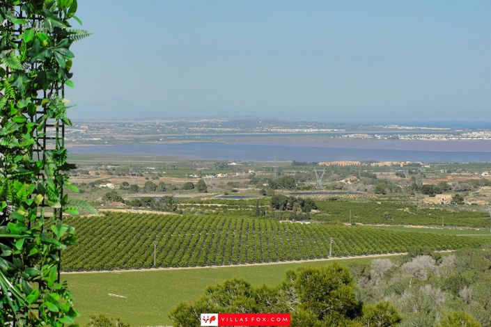 Image No.8-Appartement de 1 chambre à vendre à San Miguel de Salinas