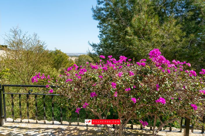 Image No.34-Villa de 2 chambres à vendre à San Miguel de Salinas