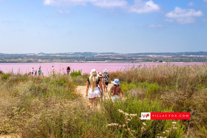 Image No.26-Appartement de 2 chambres à vendre à San Miguel de Salinas
