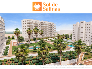 copycopycopy1472soldesalinas1