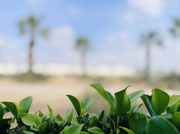 img0540-758x564