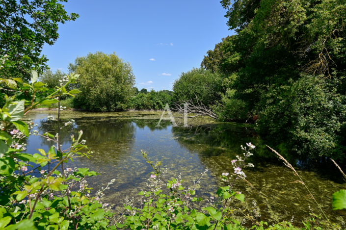 Image No.6-14 Bed Property for sale