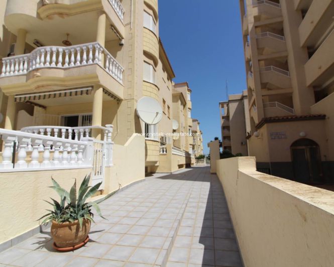 Image No.1-Propriété de 3 chambres à vendre à Alicante