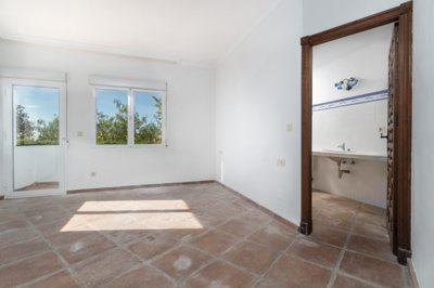 bzpaap1922528541024v00782