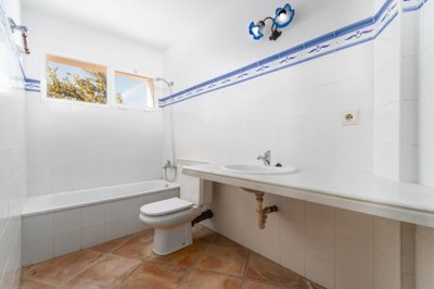 bzpaap1922528501024v03604