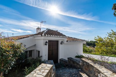 bzpaap1922528741024v0431b