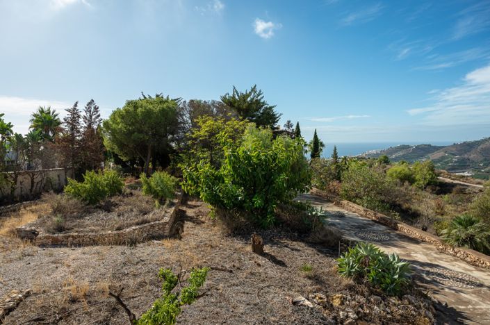 Image No.6-Terrain à vendre à Frigiliana