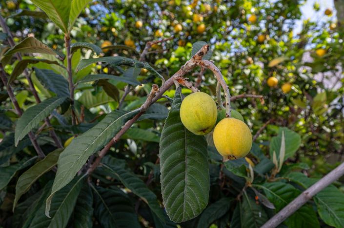 Image No.37-Jumelé de 4 chambres à vendre à Nerja