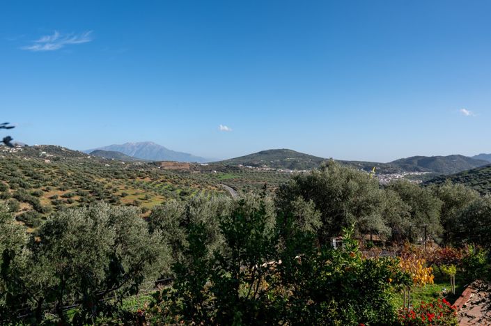 Image No.44-3 Bed Villa for sale