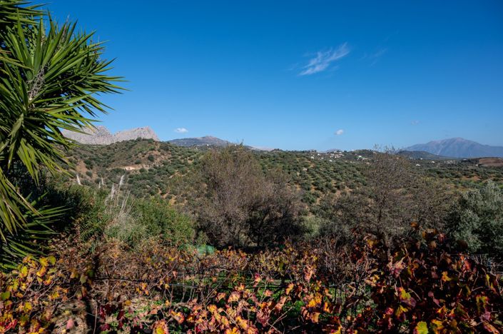 Image No.45-3 Bed Villa for sale