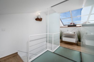 bzpaap105112643841024v04476