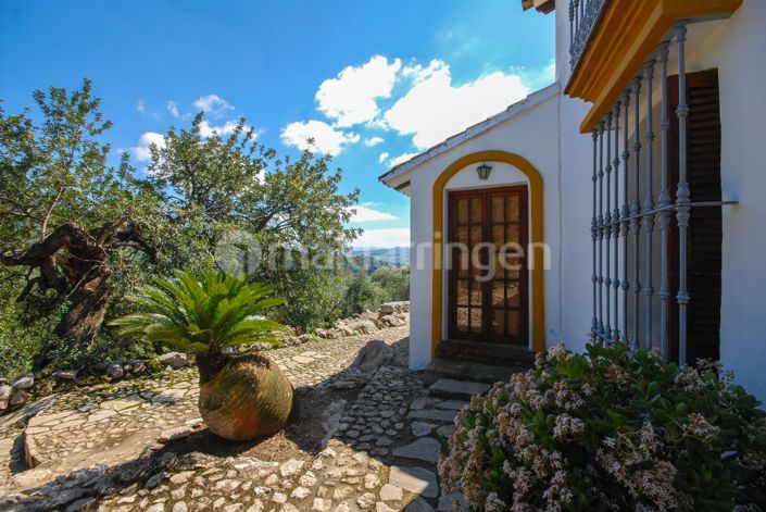 Image No.19-18 Bed Villa for sale