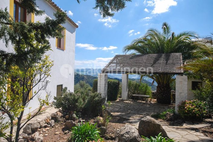 Image No.20-18 Bed Villa for sale
