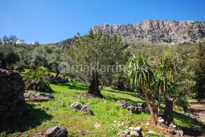 Image No.30-18 Bed Villa for sale