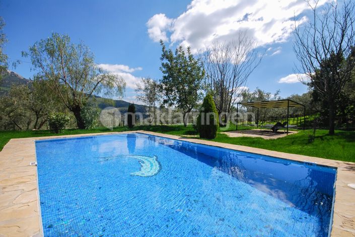 Image No.39-18 Bed Villa for sale
