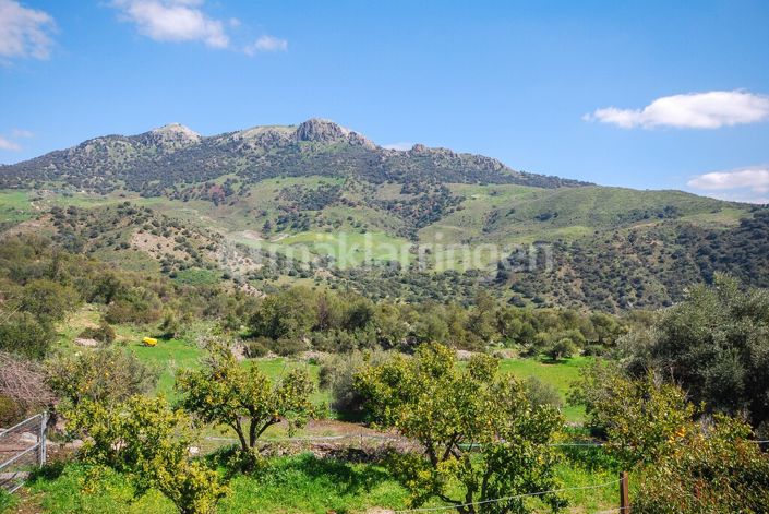 Image No.54-18 Bed Villa for sale