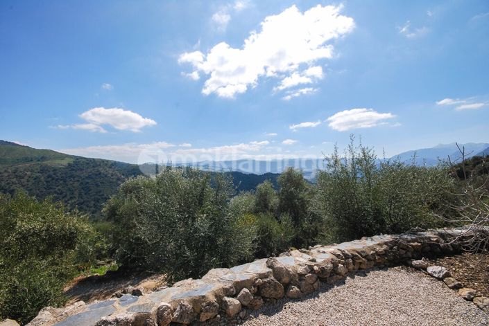 Image No.7-18 Bed Villa for sale