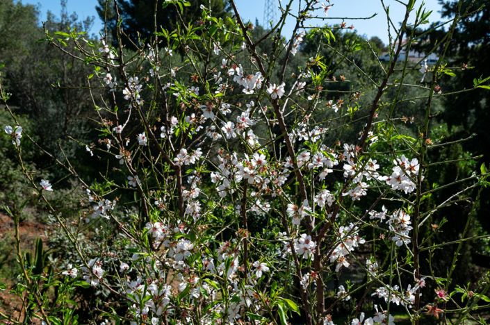 Image No.20-4 Bed Villa for sale