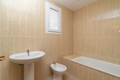 bzpaap110452741191024v09001