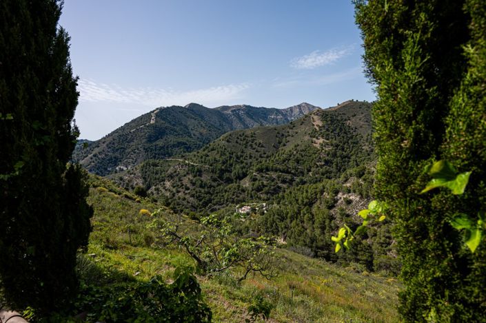 Image No.7-3 Bed Villa for sale