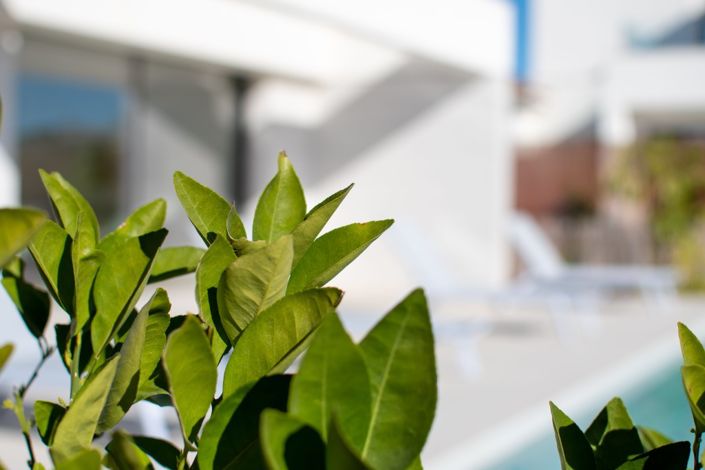 Image No.25-3 Bed Villa for sale