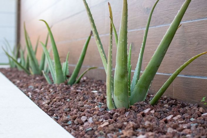 Image No.27-Villa de 3 chambres à vendre à Torrevieja