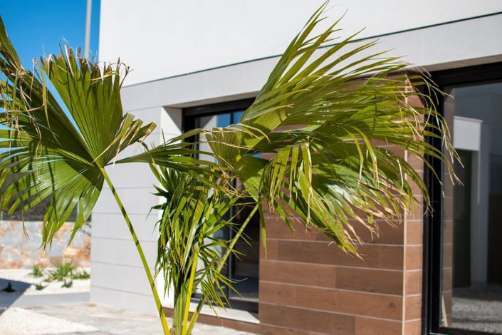 Image No.6-Villa de 3 chambres à vendre à Torrevieja