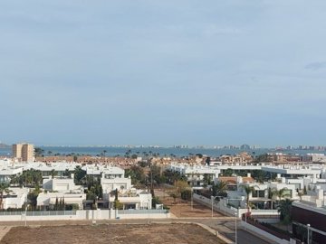 xlargebzpaap11546287124v0e7d2