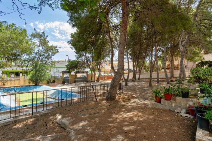 Image No.4-Villa de 8 chambres à vendre à Torrevieja